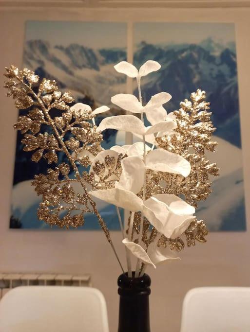 Bel Appartement Familial Et Cosy Saint-Gervais-les-Bains Luaran gambar